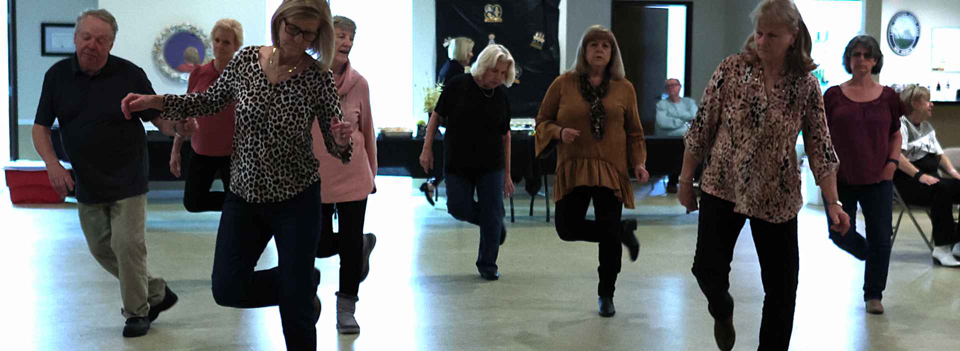 Lake Gaston Shag Club<br />
Line Dancing